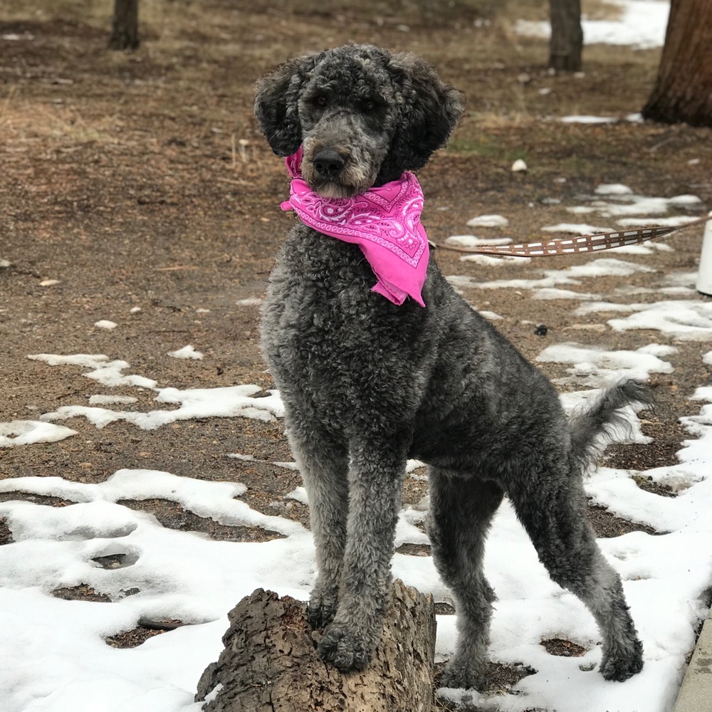 Meet your Posher, Jill